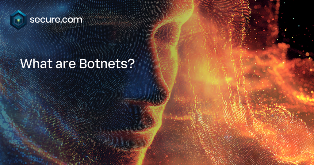 Botnets